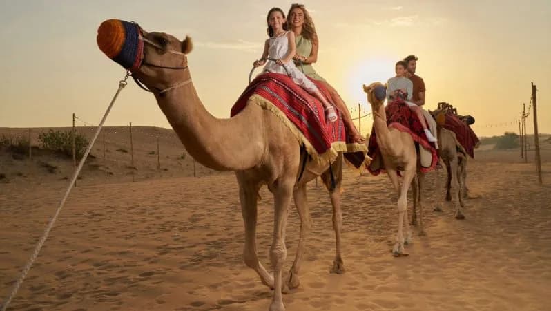 Noble Life Desert Dinner Show Safari: A Magical Evening Under the Stars — Noble Life