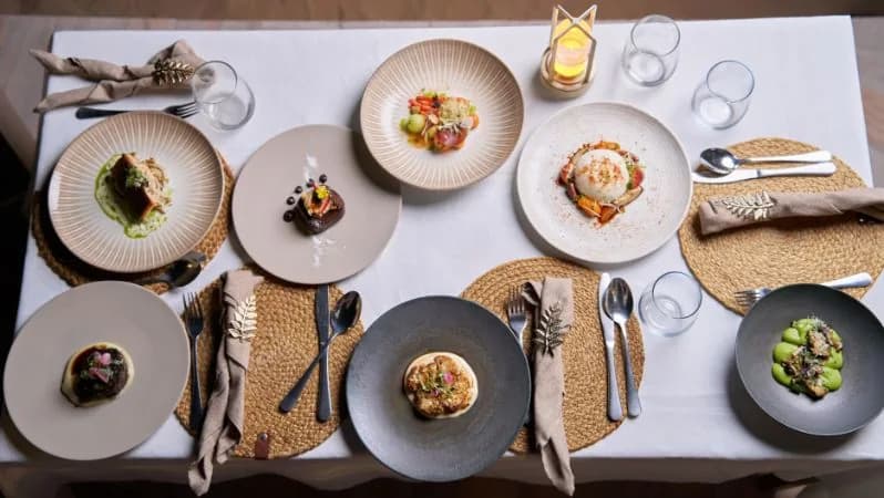 Noble Life Desert Dinner Show Safari: A Magical Evening Under the Stars